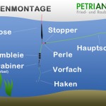 Posenmontage freilaufend bzw. Wagglermontage