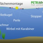 Oberflächenmontage auf Karpfen und Forellenmontage für die Wasseroberfläche