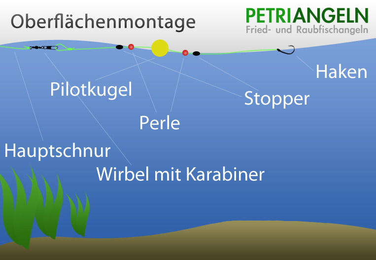 Einfache Oberflächenmontage auf z.B. Karpfen