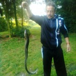 Raubaal (116 cm) aus dem Niedermöllricher Teich