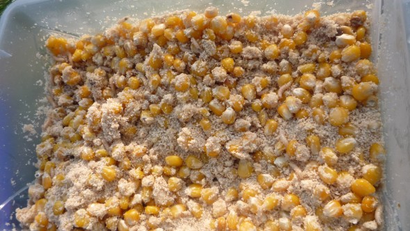 Futtermischung aus Mais, Made und Paniermehl