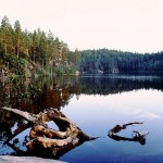 Schweden Angelurlaub ist gebucht
