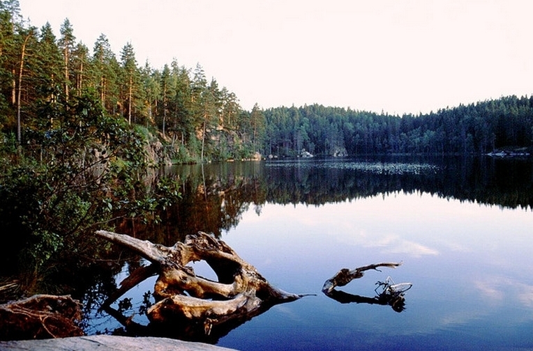 Schweden Glaskogen Naturreservat
