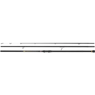 Penn Wrath II Surfcast 4,20 m bis 250 g