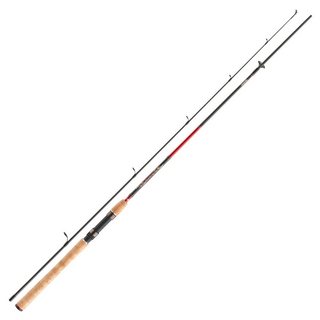 Daiwa Sweepfire Spin 2,40 m 10–40 g