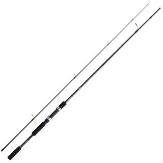 Shimano FX XT Spinnrute 2,70 m 10–30 g